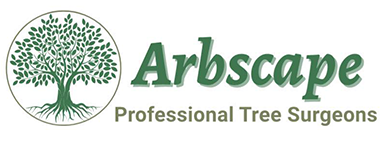 Arbscape Tree Surgeons Ltd